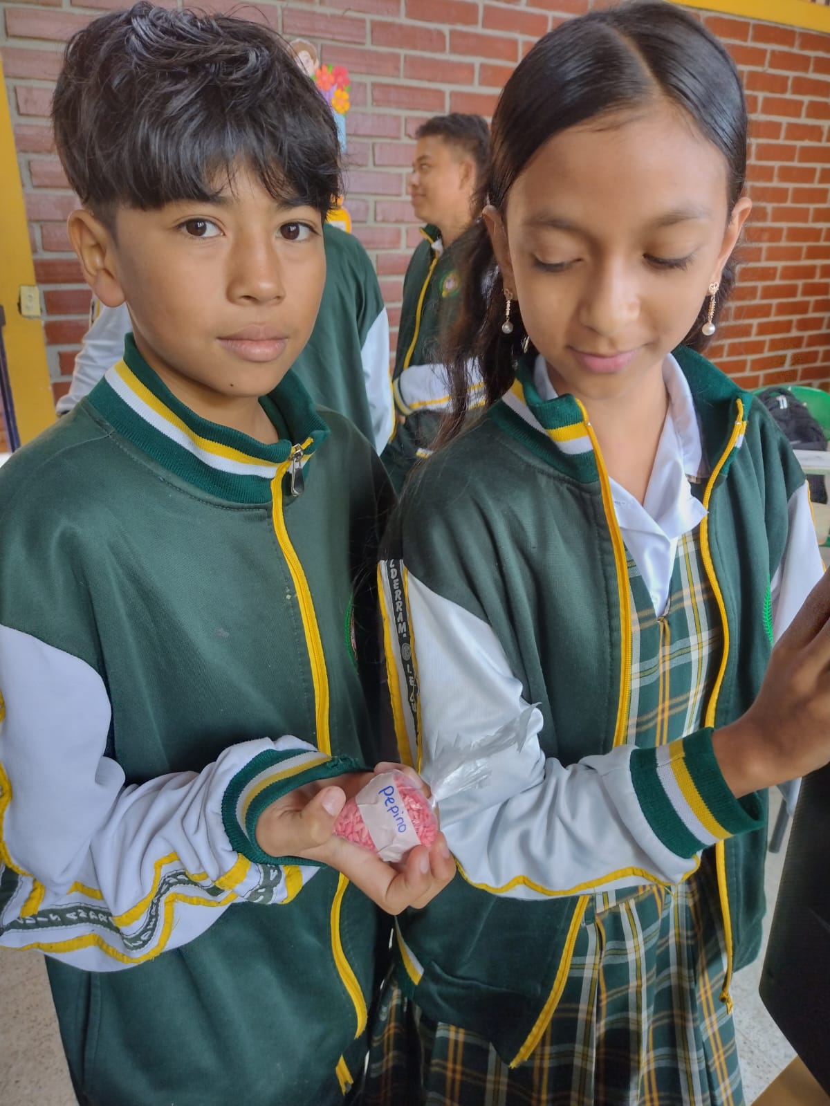 Estudiantes clasificando semillas de pepino para el plan de cultivo