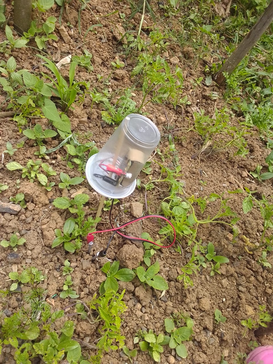 Sensor de humedad micro:bit protegido instalado en terreno