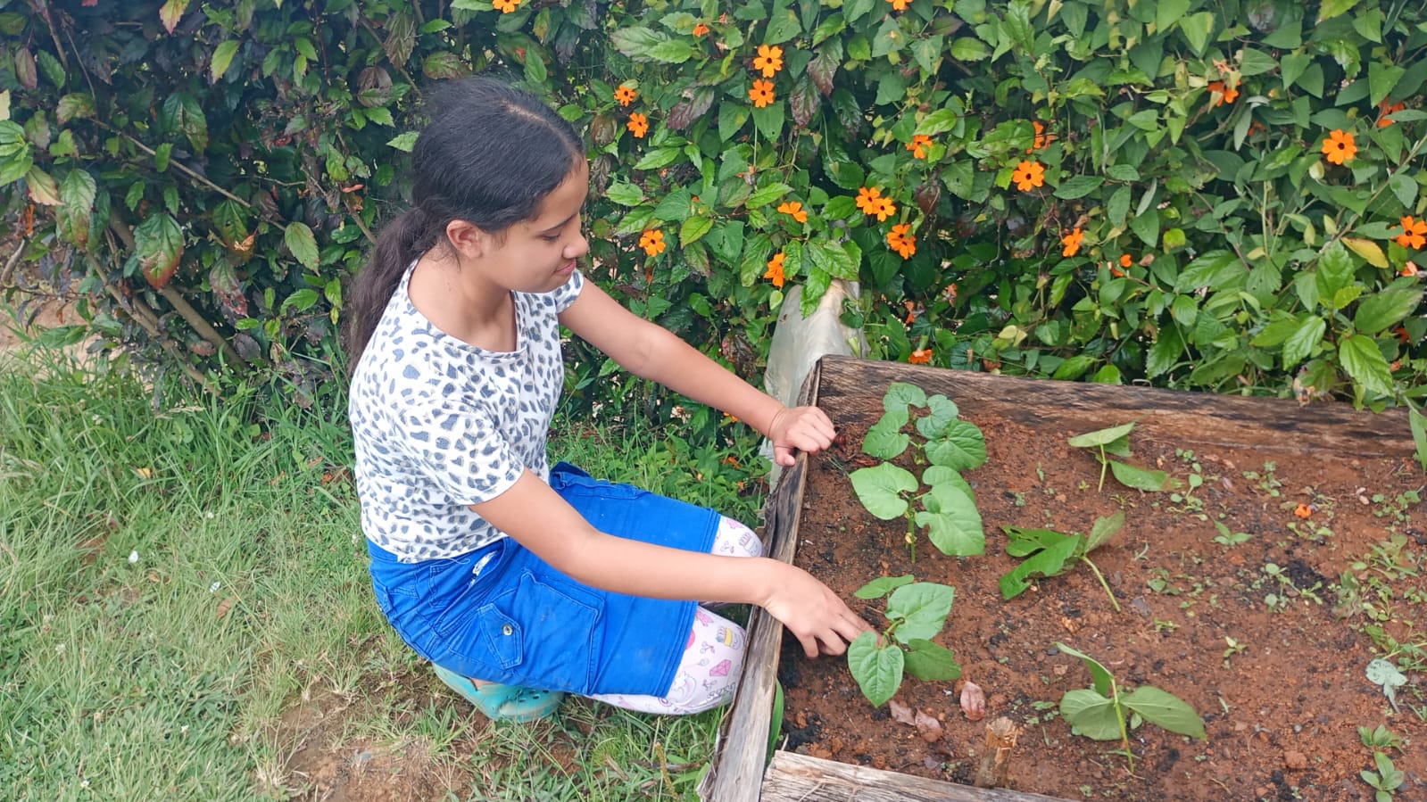 Estudiante realizando mantenimiento y deshierbe en era de madera