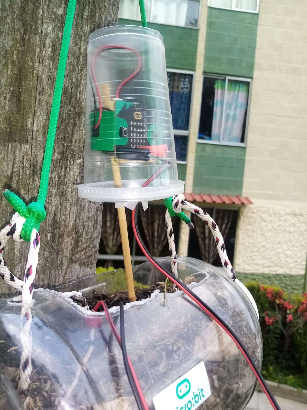 Maceta vertical en botella reciclada PET con prototipo micro:bit