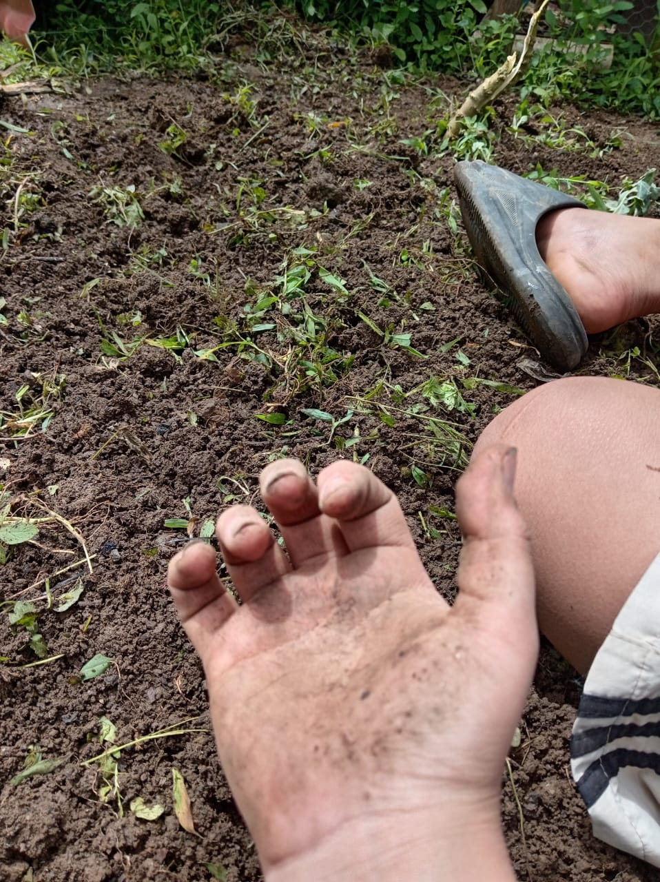Trabajo físico de labranza y preparación del terreno fértil