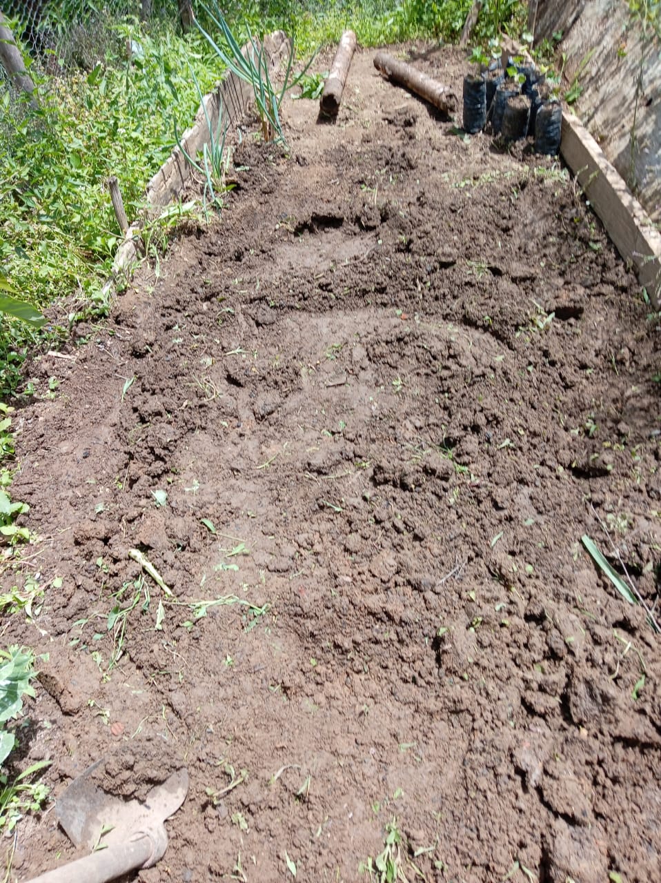 Era de cultivo nivelada y lista para la distribución de plántulas