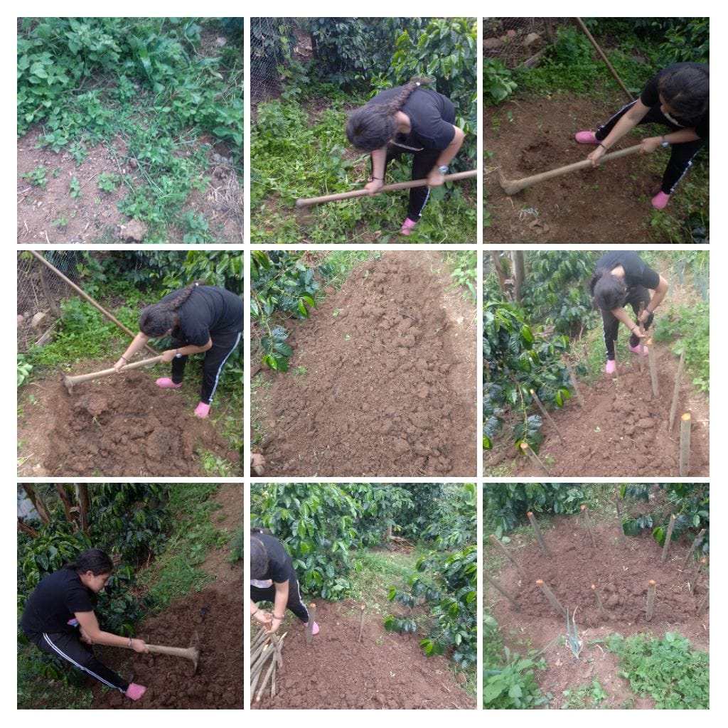 Collage de 9 fotos con la secuencia del trabajo de azadonado y cercado de eras